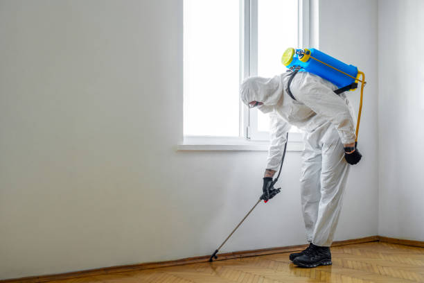 Best Bed Bug Extermination  in Bayou Vista, LA