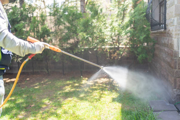 Best Local Pest Control Services  in Bayou Vista, LA